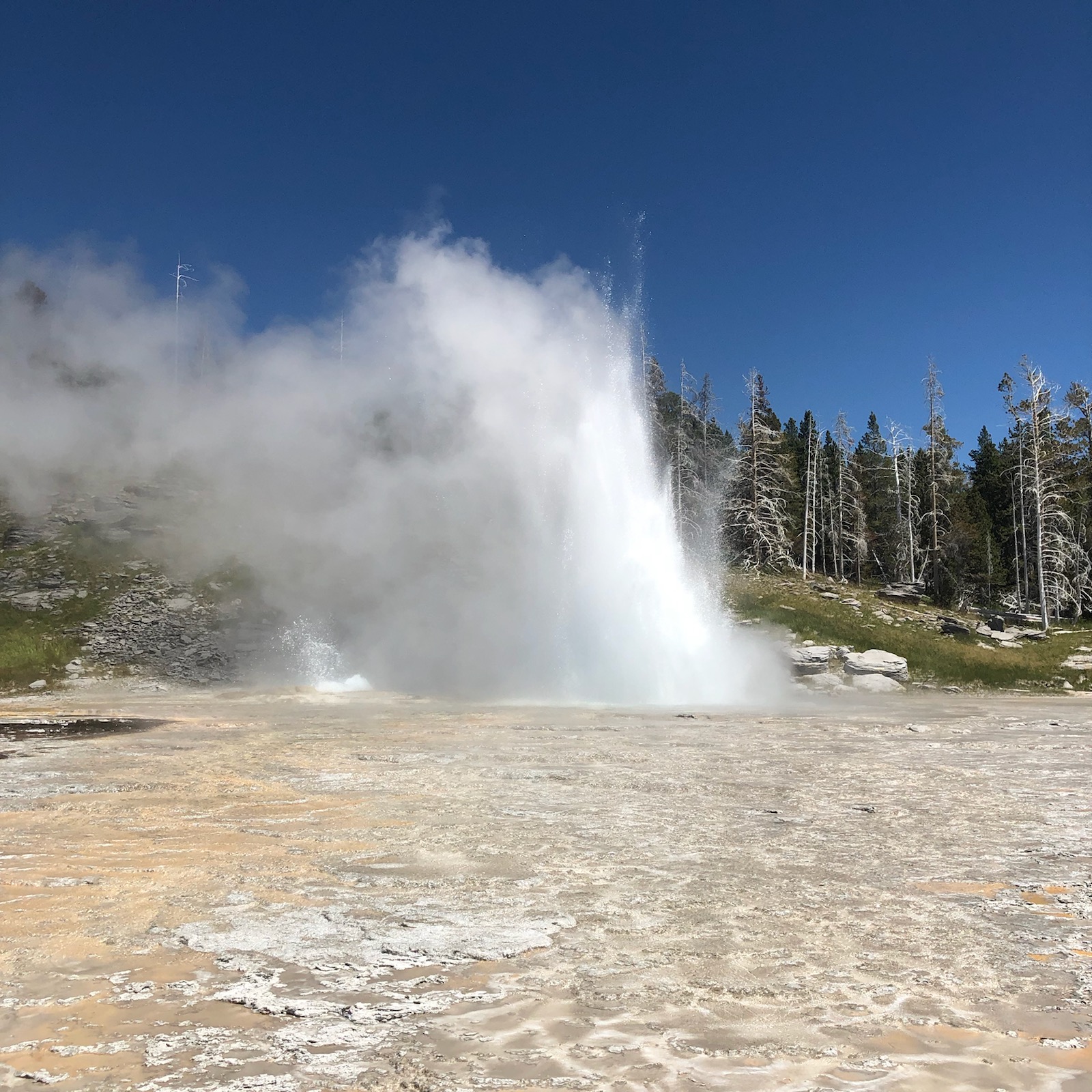 what-makes-yellowstone-s-old-faithful-erupt-chesterbrook-woods